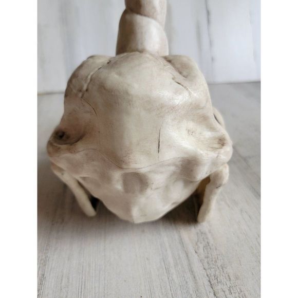 Crazy bonez unicorn head skeleton scary Halloween prop decor - Picture 7 of 13